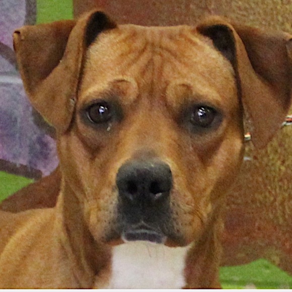 Posh Ambassador for Jane Iredale 🥰 - Picture 4 of 16